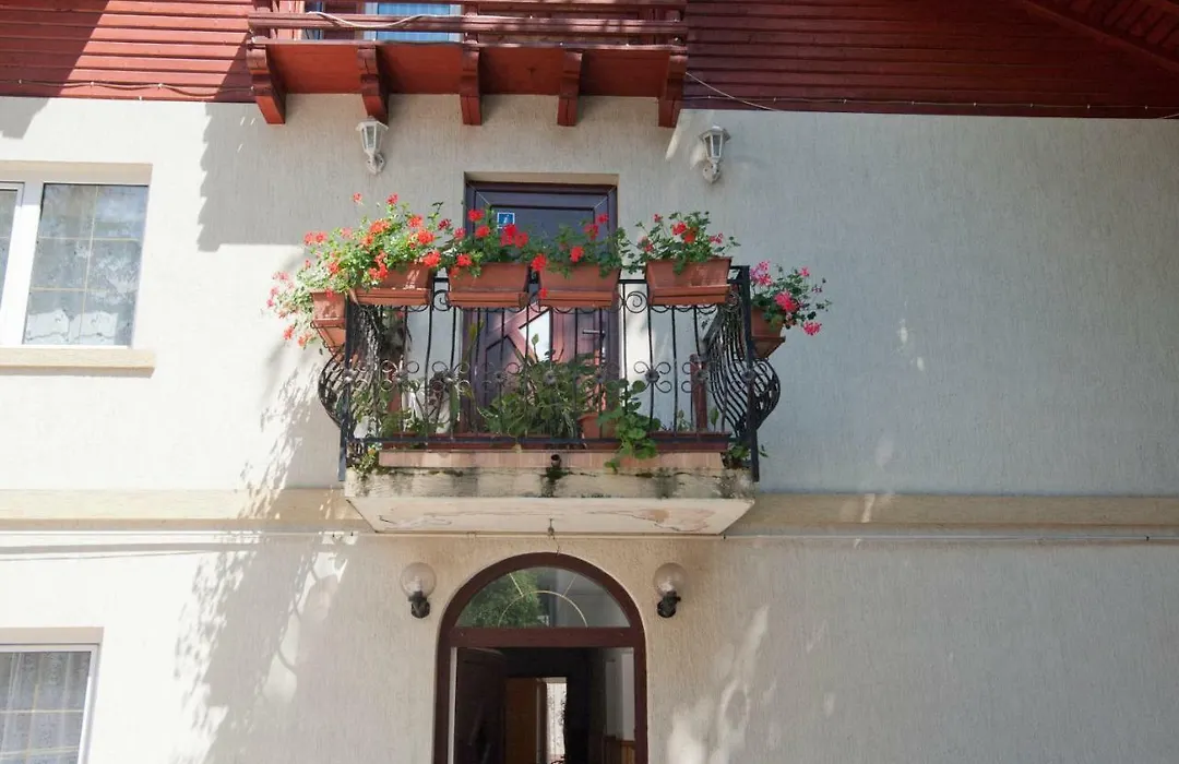 Casa Tudor-1